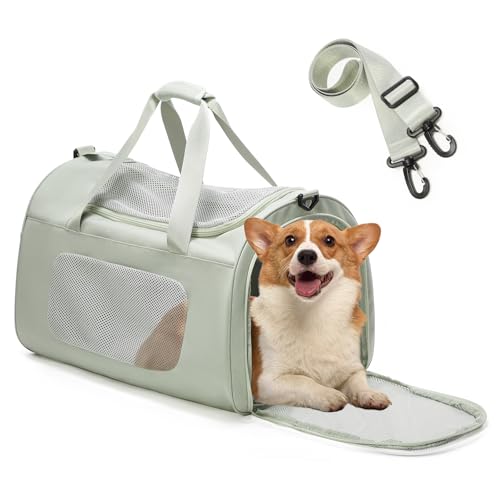 VENATIN Katzenboxe Flugzeugtauglich,Weichseitige Hundetransportbox mit Innenleine,Katzentransportbox für große Katzen und Welpen, Big 13 kg,Grün,Large transporttasche VENATIN Katzenboxe Flugzeugtauglich,Weichseitige Hundetransportbox mit Innenleine,Katzentransportbox für große Katzen und Welpen, Big 13 kg,Grün,Large transporttasche von VENATIN