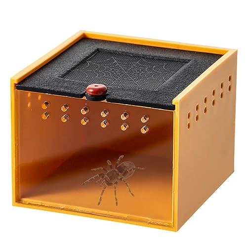 Transparente Reptilienbox,Reptiliengehege Eidechsenkäfig Schildkrötenlebensrau Einsiedlerkrebsbecken - Mini-Haustiergehege Tragbarer Tierlebensraumkäfig Reptilienfütterungsbox aus Acryl für von VENTDOUCE