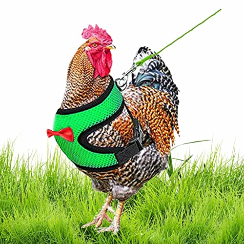 Huhn-Geschirr, verstellbar, mit Leine, elastisch, bequem, atmungsaktiv, für Enten, Henne, Traning, Spaziergänge Huhn-Geschirr, verstellbar, mit Leine, elastisch, bequem, atmungsaktiv, für Enten, Henne, Traning, Spaziergänge von VENTDOUCE