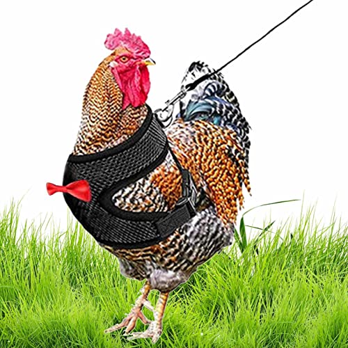 Huhn-Geschirr, verstellbar, mit Leine, elastisch, bequem, atmungsaktiv, für Enten, Henne, Traning, Spaziergänge Huhn-Geschirr, verstellbar, mit Leine, elastisch, bequem, atmungsaktiv, für Enten, Henne, Traning, Spaziergänge von VENTDOUCE