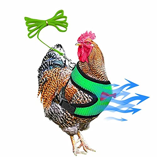 VENTDOUCE Pet Gooss, Ente und Huhn Brustgurt Traktionsseil Verstellbares Hühnergeschirr Bequem Atmungsaktiv Elastischer Gürtel für Haustiere von VENTDOUCE
