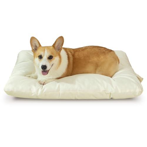 VERABE Strapazierfähiges Hundebett für extra große Hunde, strapazierfähiges Oxford-Kissen, mit leicht zu tragenden Griffen, waschbare Hunde-Isomatte, 104,1 x 68,6 cm, Beige VERABE Strapazierfähiges Hundebett für extra große Hunde, strapazierfähiges Oxford-Kissen, mit leicht zu tragenden Griffen, waschbare Hunde-Isomatte, 104,1 x 68,6 cm, Beige von VERABE