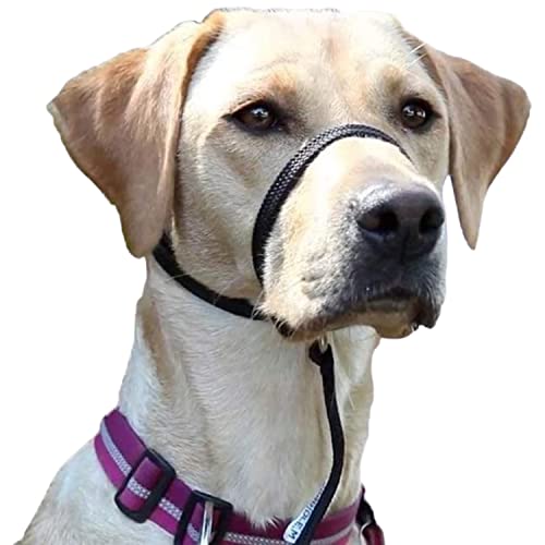 Premium Geschirr Hund - Erziehungshalsband liebevoll, Antizug- / no Pull Geschirr garantiert, mindert Aggression, Antibellhalsband, Kopfhalfter, Hundehalfter: kleine bis große Hunde, schwarz Premium Geschirr Hund - Erziehungshalsband liebevoll, Antizug- / no Pull Geschirr garantiert, mindert Aggression, Antibellhalsband, Kopfhalfter, Hundehalfter: kleine bis große Hunde, schwarz von VERAN'S PET