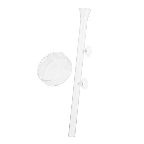 VERDANVERSE 1 Satz Acryl- Einfacher Feeder Garnelenfutter Aquarium klein Garnelen futterrohr essenstablett Fisch Urlaub Feeder Aquarium Garnelenfutterautomat Transparent VERDANVERSE 1 Satz Acryl- Einfacher Feeder Garnelenfutter Aquarium klein Garnelen futterrohr essenstablett Fisch Urlaub Feeder Aquarium Garnelenfutterautomat Transparent von VERDANVERSE