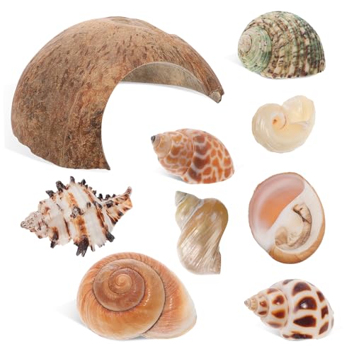 VERDANVERSE 1 Satz Haustier verstecken Reptil Kokosnuss Einsiedler Höhle Hülse Terrarium zubehör Hermit Crab Muscheldekoration für Aquarien Kokoshaut natürliche Muschel von VERDANVERSE