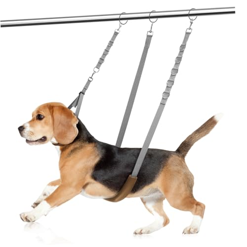 VERDANVERSE 1 Satz Haustierpflegeset Klein Taille Bauch Hund Geschirre Schleife Körperpflege Haustiere Erweiterungen Haustierpflegeseil Nylon Grey von VERDANVERSE