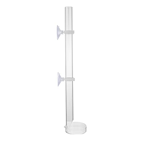 VERDANVERSE 1 Satz Speiseröhre Aquarium Futterspender für Aquarienfische Zucht für Fisch Tank Garnelenfutterstation für Aquarienfische Futterrohr für Aquarien Fischgarnelenröhrchen Acryl VERDANVERSE 1 Satz Speiseröhre Aquarium Futterspender für Aquarienfische Zucht für Fisch Tank Garnelenfutterstation für Aquarienfische Futterrohr für Aquarien Fischgarnelenröhrchen Acryl von VERDANVERSE