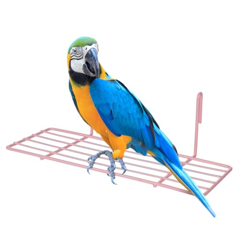 VERDANVERSE 1 Stück Papageienvogelkäfig Vogelbarsch Käfig Barsch für Vogelkäfig Form Vogelkäfig drinnen Vogelzubehör für Käfige Kleiner Papageienbarsch Vogelkäfigzubehör Rosa VERDANVERSE 1 Stück Papageienvogelkäfig Vogelbarsch Käfig Barsch für Vogelkäfig Form Vogelkäfig drinnen Vogelzubehör für Käfige Kleiner Papageienbarsch Vogelkäfigzubehör Rosa von VERDANVERSE