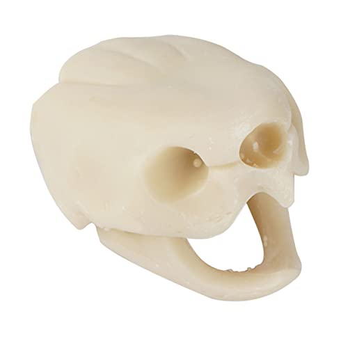 VERDANVERSE 1 Stück Wasserpflanzen Schädel Ornamente Rahmenornament für Aquarien Schildkrötenstatue Tierdekoration Aquarium gefälschter - Fischtankdekoration Harz Weiß VERDANVERSE 1 Stück Wasserpflanzen Schädel Ornamente Rahmenornament für Aquarien Schildkrötenstatue Tierdekoration Aquarium gefälschter - Fischtankdekoration Harz Weiß von VERDANVERSE