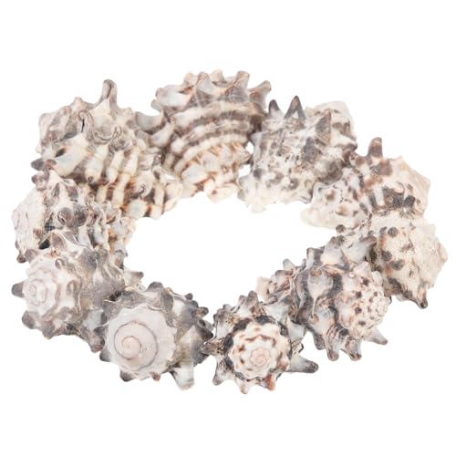 VERDANVERSE 10 Stück Aquarium Landschaftsgestaltung Muscheldekoration Krabbenschalen Kleine Und Große Aquarium Ornamente Aquarien Fischtanks Muscheln Zubehör Aquarium Ornamente VERDANVERSE 10 Stück Aquarium Landschaftsgestaltung Muscheldekoration Krabbenschalen Kleine Und Große Aquarium Ornamente Aquarien Fischtanks Muscheln Zubehör Aquarium Ornamente von VERDANVERSE