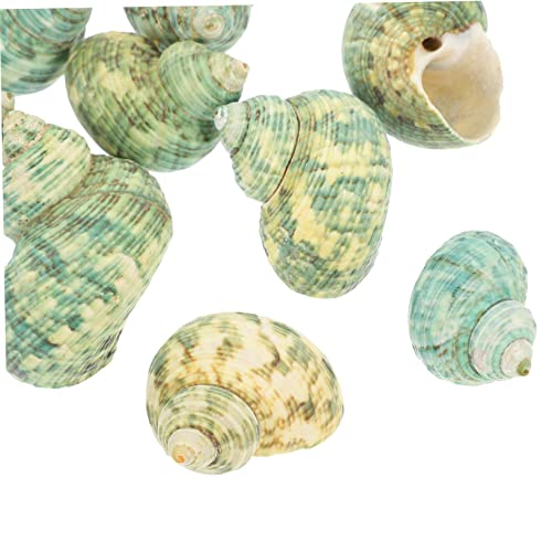 VERDANVERSE 10 Stück Teiliges Aquarien Dekorationen aus Naturmuscheln Schalenornamente für Fischbehälter Atmungsaktive Schnecken für Aquatische Pflanzen Sicher und Leicht für Fische VERDANVERSE 10 Stück Teiliges Aquarien Dekorationen aus Naturmuscheln Schalenornamente für Fischbehälter Atmungsaktive Schnecken für Aquatische Pflanzen Sicher und Leicht für Fische von VERDANVERSE