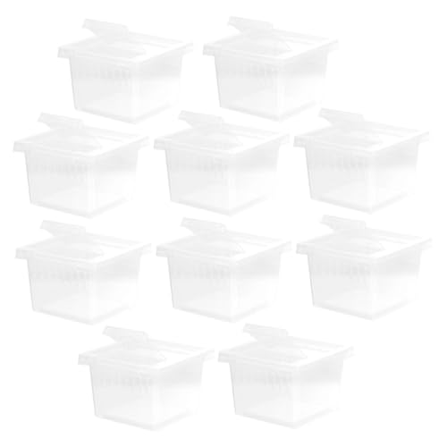 VERDANVERSE 10 Stück Transparente Reptilien Aufzuchtbox aus Robustem Kunststoff mit Lüftungsschlitzen Kleine Terrarien für Spinnen Insekten und Kriechtiere Leicht zu Reinigen und Langlebig von VERDANVERSE