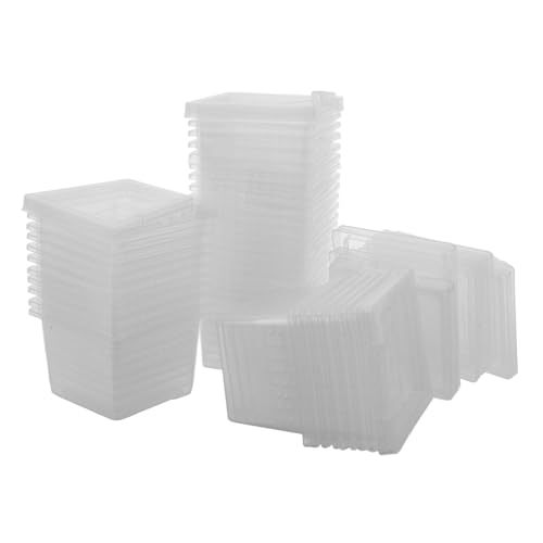 VERDANVERSE 100 Stück Boxen Futterbox Für Haustiere Tank Zucht Reptilien Schildkrötengehege Drinnen Schlange Schildkrötenpanzer Klein Inkubator Spinnengehege Fütterung Transparent Pp VERDANVERSE 100 Stück Boxen Futterbox Für Haustiere Tank Zucht Reptilien Schildkrötengehege Drinnen Schlange Schildkrötenpanzer Klein Inkubator Spinnengehege Fütterung Transparent Pp von VERDANVERSE