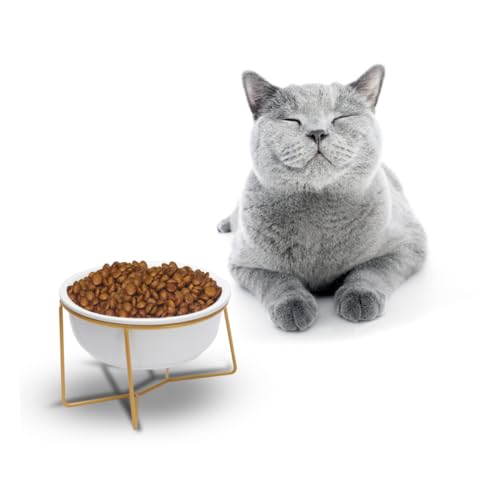 VERDANVERSE 1Stück Erhöhter Futternapf für Katzen und Keramischer mit Schräg für Optimale Nackenhaltung Rutschfester Untergrund für Haustiere Weiß VERDANVERSE 1Stück Erhöhter Futternapf für Katzen und Keramischer mit Schräg für Optimale Nackenhaltung Rutschfester Untergrund für Haustiere Weiß von VERDANVERSE