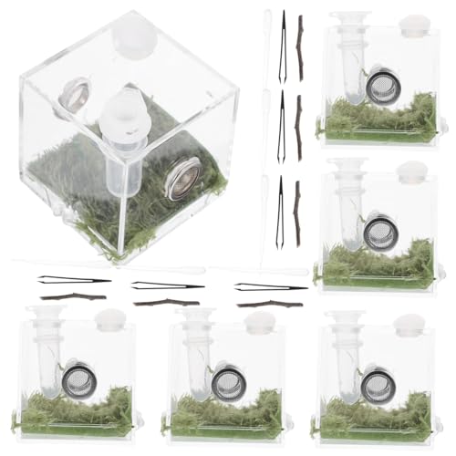 VERDANVERSE 2 Sätze Springspinnen-zuchtbox Transparentes Haustiergehege Springspinnen-Terrarium Züchten Sprungspinnengehege Brüterei Wassernapf Für Reptilien Fisch Tank Dinosaurier Netz Acryl VERDANVERSE 2 Sätze Springspinnen-zuchtbox Transparentes Haustiergehege Springspinnen-Terrarium Züchten Sprungspinnengehege Brüterei Wassernapf Für Reptilien Fisch Tank Dinosaurier Netz Acryl von VERDANVERSE