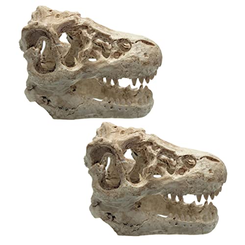 VERDANVERSE 2 Stück Dinosaurier Harz Schädel Versteck Ornament gefälscht Aquarium-Versteck- wohnungseinrichtung wohnungsdeko Aquarium Landschaftsbauverzierung Unterwasserschiff aus Harz von VERDANVERSE