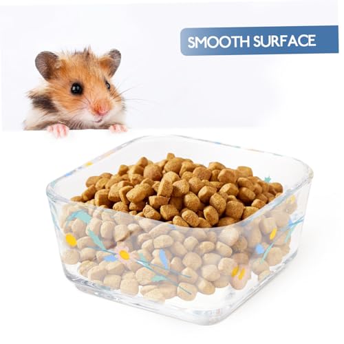 VERDANVERSE 2 Stück Hamster Futternapf aus Bruchsicherem Kippsicherer Futter und Wassernapf für Meerschweinchen Kaninchen Zwerghamster Kompakt Langlebig Leicht zu Reinigen von VERDANVERSE