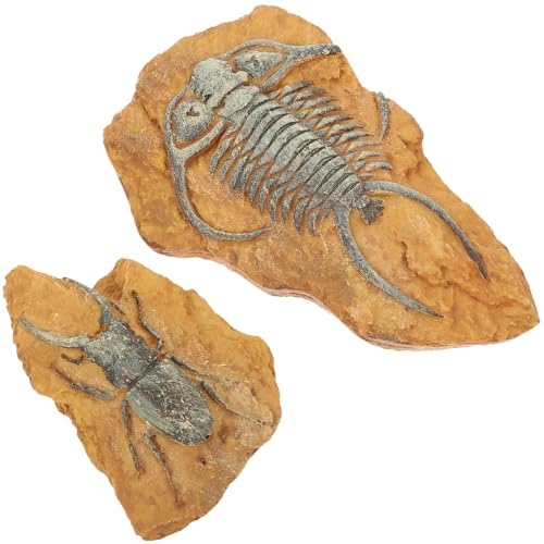 VERDANVERSE 2 Stück Teiliges Reptilien Terrarium Dekor aus Harz Naturgetreue Trilobiten Fossil Nachbildung Geruchsneutral und Kippsicher Geeignet für Kleine Haustiere Wie Geckos Schildkröten von VERDANVERSE