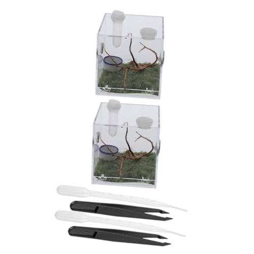 VERDANVERSE 2Sätze Insektenzuchtboxen Transparente Acrylbehälter mit Tropfer und Pinzette für Spinnen Schnecken und Andere Haustiere Robust und Langlebig und Kompakt VERDANVERSE 2Sätze Insektenzuchtboxen Transparente Acrylbehälter mit Tropfer und Pinzette für Spinnen Schnecken und Andere Haustiere Robust und Langlebig und Kompakt von VERDANVERSE