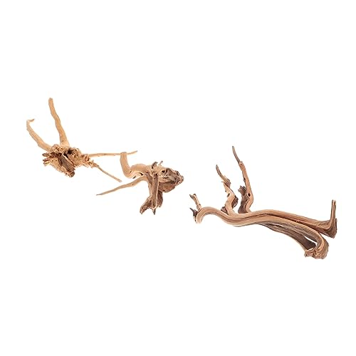 VERDANVERSE 3 Stück Naturholz Aquarium Dekoration Driftwood Ornamente für Reptilien und Fischtanks und Zufällige Designs Dekorative Wurzel für Terrarien und Aquarien VERDANVERSE 3 Stück Naturholz Aquarium Dekoration Driftwood Ornamente für Reptilien und Fischtanks und Zufällige Designs Dekorative Wurzel für Terrarien und Aquarien von VERDANVERSE