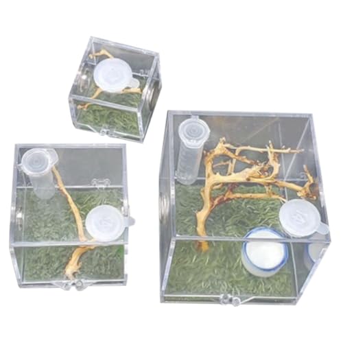 VERDANVERSE 3Stücke Transparente Spinnenzuchtbox Futterbox für Springspinnen Insektenlebensraum mit Professionellem Design VERDANVERSE 3Stücke Transparente Spinnenzuchtbox Futterbox für Springspinnen Insektenlebensraum mit Professionellem Design von VERDANVERSE