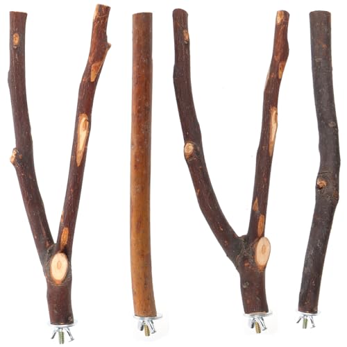 VERDANVERSE 4 Stück Papagei stehender Stock Papageienstange Klettern Pole Zweig Papageienbarsch holzbohle holzstangen Vogelkäfig vogelgitter Vogelständer Vogelversorgung hölzern von VERDANVERSE