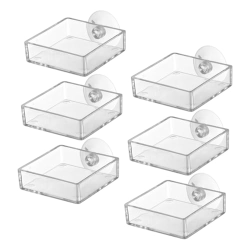 VERDANVERSE 6 Stück Fütterung Becken für Aquarien Fisch Wurmfutterspender für Aquarien Essen Automatic Fish Feeder Aquarium Futterhalter Aufbewahrungsschale Futternapf für Garnelenbecken Acryl von VERDANVERSE