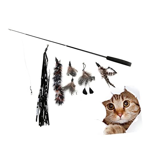 VERDANVERSE 6 Stück Katzenangel Teiliges Set Interaktives Katzenspielzeug mit Bunten Bändern für Kätzchen Robuster Kunststoffgriff für Gemeinsame mit Ihren Katzen VERDANVERSE 6 Stück Katzenangel Teiliges Set Interaktives Katzenspielzeug mit Bunten Bändern für Kätzchen Robuster Kunststoffgriff für Gemeinsame mit Ihren Katzen von VERDANVERSE