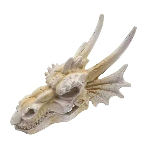 VERDANVERSE Aquarium Deko Drachen Schädel aus Langlebigem Harz Versteckhöhle für Kleine Fische Wasserfestes Unterwasser Geeignet für Fischbecken und Terrarien Dekoratives Versteck von VERDANVERSE