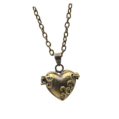 VERDANVERSE Asche Halskette Haustier Hohlurne Schmuck für die Einäscherung Sterling Gedenkkette Halskette aus Katzenasche Katzenurne Kleine Urnen Urne Halskette Tierurnen für Hundeasche Kupfer von VERDANVERSE