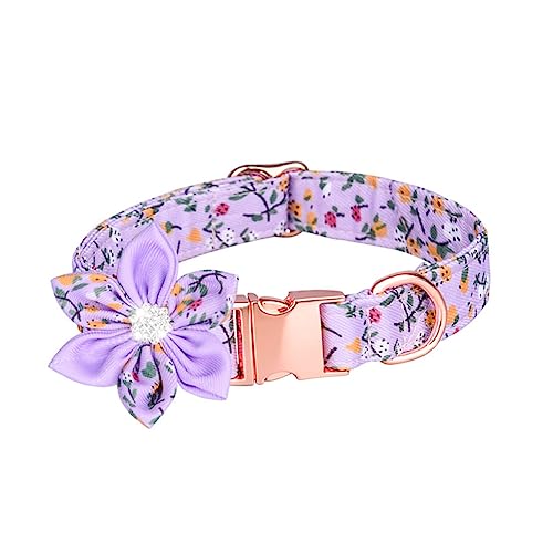 VERDANVERSE Blumenmuster Katzenhalsband Verstellbares Sicheres Haustierhalsband Roségold für Katzen und Kätzchen für Partys Hochzeiten und Tägliches Tragen Leicht und Hautfreundlich VERDANVERSE Blumenmuster Katzenhalsband Verstellbares Sicheres Haustierhalsband Roségold für Katzen und Kätzchen für Partys Hochzeiten und Tägliches Tragen Leicht und Hautfreundlich von VERDANVERSE