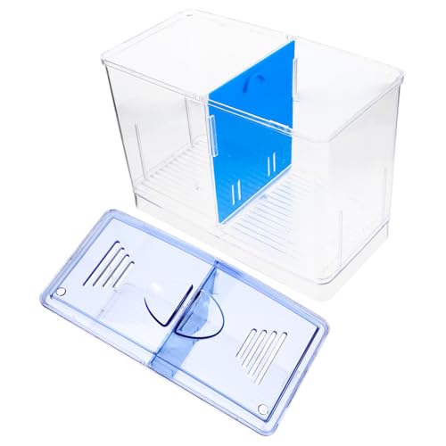 VERDANVERSE Fischzuchtbox Transparent mit Trennwand Kleine Aufzuchtbox für Jungfische und Garnelen Leicht zu Reinigen Aquarium Isolationsbecken für Betta und Zuchtzwecke von VERDANVERSE