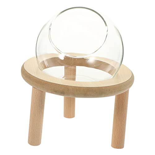 VERDANVERSE Hamster Badezimmer Transparentes für Chinchillas und Kleine Haustiere Pflegeleicht aus Hochwertigem Material als Toilette und Futterstelle von VERDANVERSE