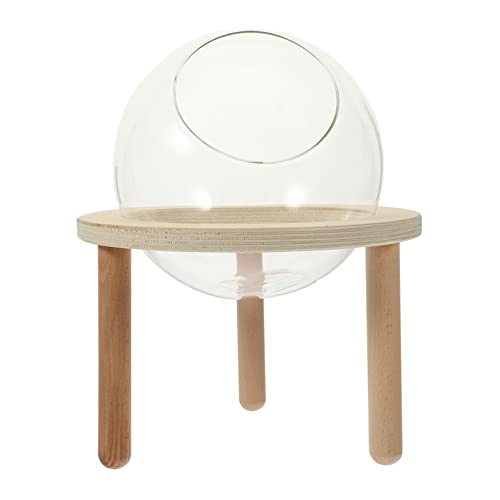 VERDANVERSE Haushalts Badewanne für Hamster Transparente Verschleißfeste Badewanne für Kleine Haustiere Einfach zu Reinigen und für Pflege von Zwerghamstern von VERDANVERSE