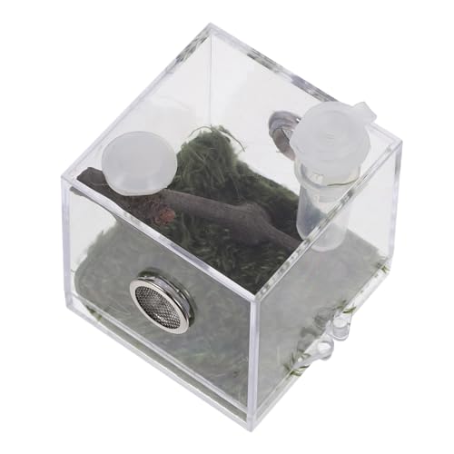 VERDANVERSE Kasten Springspinnen-zuchtbox Kleiner Spinnentank Klarer Behälter Terrariumreptil Schmetterlingsgehege Ködernetz Bausatz Froschträger Spinnenhaus Spinnenfütterungsterrarium Acryl von VERDANVERSE