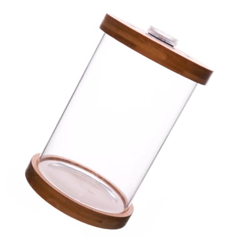 VERDANVERSE Kleiner Dekorativer LED Fischglas Aquarium aus Hochwertigem Borosilikatglas mit Leichtem Sockel Geeignet für Kleine Fische und Garnelen Platzsparend und Langlebig VERDANVERSE Kleiner Dekorativer LED Fischglas Aquarium aus Hochwertigem Borosilikatglas mit Leichtem Sockel Geeignet für Kleine Fische und Garnelen Platzsparend und Langlebig von VERDANVERSE