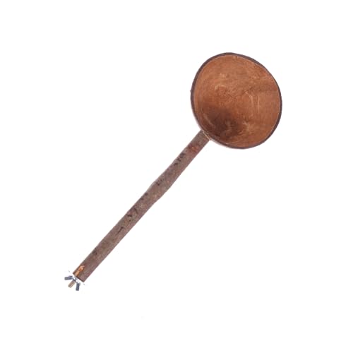 VERDANVERSE Kreative Kokosnussschale für Langlebiges mit Stehstock Vielseitig Einsetzbar Futter und Spielschale für Papageien und Nymphensittiche VERDANVERSE Kreative Kokosnussschale für Langlebiges mit Stehstock Vielseitig Einsetzbar Futter und Spielschale für Papageien und Nymphensittiche von VERDANVERSE