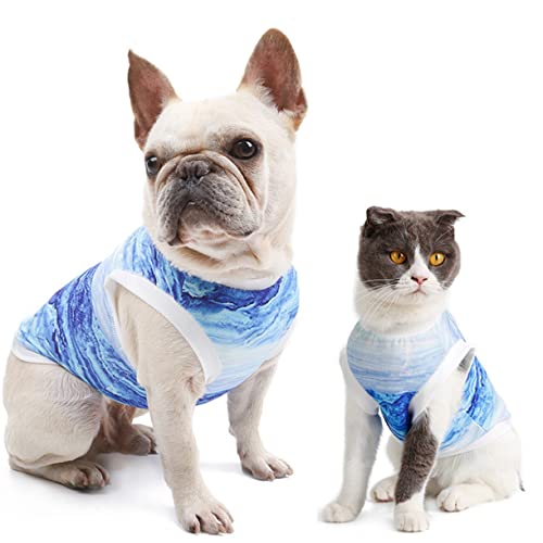 VERDANVERSE Kühlweste für Kleine Hunde Xs Atmungsaktiv Leicht Waschbar Wiederverwendbar Schnell Kühlend durch Wasseraktivierung Praktische Hundeweste für Sommerliche Abkühlung bei Haustieren VERDANVERSE Kühlweste für Kleine Hunde Xs Atmungsaktiv Leicht Waschbar Wiederverwendbar Schnell Kühlend durch Wasseraktivierung Praktische Hundeweste für Sommerliche Abkühlung bei Haustieren von VERDANVERSE