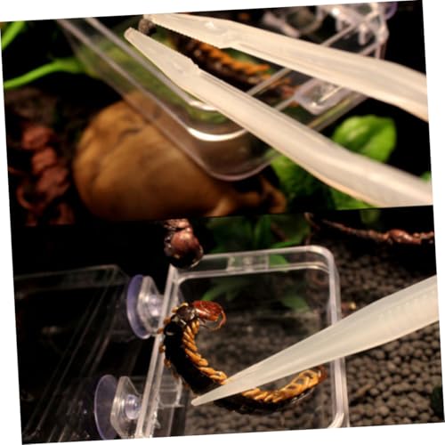 VERDANVERSE Luminous Futterzange aus Kunststoff für Reptilien und Kriechtiere Fütterungsfreundliche Pinzette mit Sicherer Clip Struktur Rostfrei Langlebig für Insekten und Kleine Haustiere VERDANVERSE Luminous Futterzange aus Kunststoff für Reptilien und Kriechtiere Fütterungsfreundliche Pinzette mit Sicherer Clip Struktur Rostfrei Langlebig für Insekten und Kleine Haustiere von VERDANVERSE