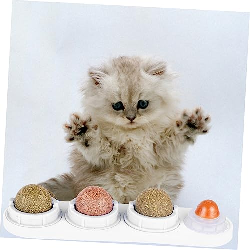 VERDANVERSE Natürlicher Katzenspielzeug Katzeminze Ball Katzenminze Kauspielzeug für Kätzchen Weiß zur Beschäftigung und Zahnpflege VERDANVERSE Natürlicher Katzenspielzeug Katzeminze Ball Katzenminze Kauspielzeug für Kätzchen Weiß zur Beschäftigung und Zahnpflege von VERDANVERSE