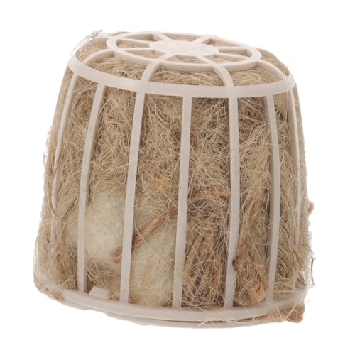 VERDANVERSE Papageiennestbecken aus Naturmaterialien Atmungsaktiv und Langlebig für Tauben und Kanarienvögel Fördert Sicheres Schlüpfen und Wohlbefinden VERDANVERSE Papageiennestbecken aus Naturmaterialien Atmungsaktiv und Langlebig für Tauben und Kanarienvögel Fördert Sicheres Schlüpfen und Wohlbefinden von VERDANVERSE
