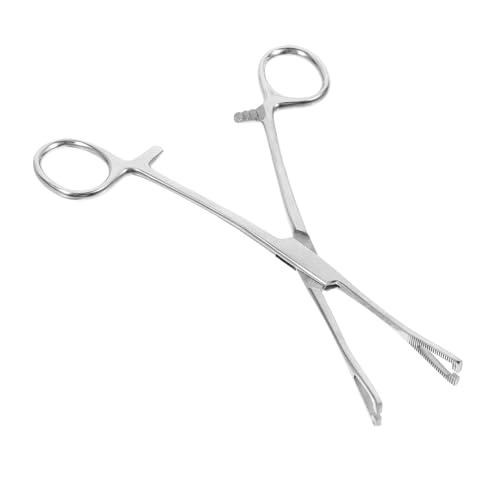 VERDANVERSE Pinzette aus Edelstahl Schlangenzange Gecko-Werkzeug Reptilien Pinzette Aquascaping-Tools Reptilienfang Aquariumpipette Fütterungspinzette Rostfreier Stahl Silver VERDANVERSE Pinzette aus Edelstahl Schlangenzange Gecko-Werkzeug Reptilien Pinzette Aquascaping-Tools Reptilienfang Aquariumpipette Fütterungspinzette Rostfreier Stahl Silver von VERDANVERSE