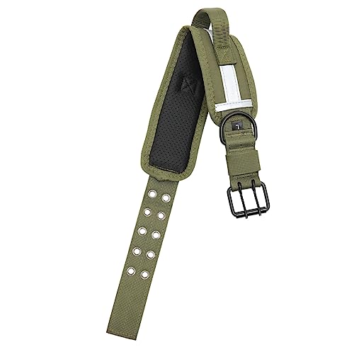 VERDANVERSE Reflektierender Hundehalsband Hundehalsbänder Kontrolle Haustier Kragen Arbeiten Einstellbar Ausbildung Hart Welpen Welpen Zubehör Foto -Requisiten Nylongewebe Grün VERDANVERSE Reflektierender Hundehalsband Hundehalsbänder Kontrolle Haustier Kragen Arbeiten Einstellbar Ausbildung Hart Welpen Welpen Zubehör Foto -Requisiten Nylongewebe Grün von VERDANVERSE