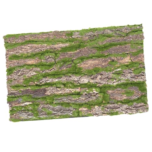 VERDANVERSE Reptile Climbing Bark Dekoration Natürlicher Terrarium Hintergrund aus Kork für Reptilienhabitate Klettermatte für Schildkröten und Bartagamen Langlebig und von VERDANVERSE