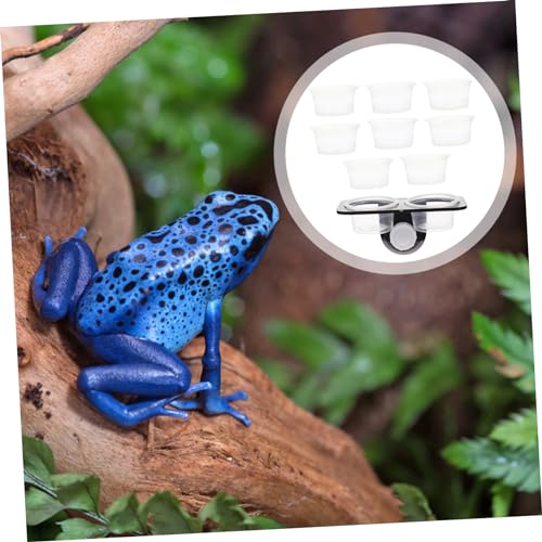 VERDANVERSE Reptilien Futter und Wassernapf aus Stabilem Kunststoff Doppelte Schale mit Saugfähiger Basis Sicher und Glatt für Gehege Geeignet für Echsen Schildkröten Spinnen und Grüne von VERDANVERSE