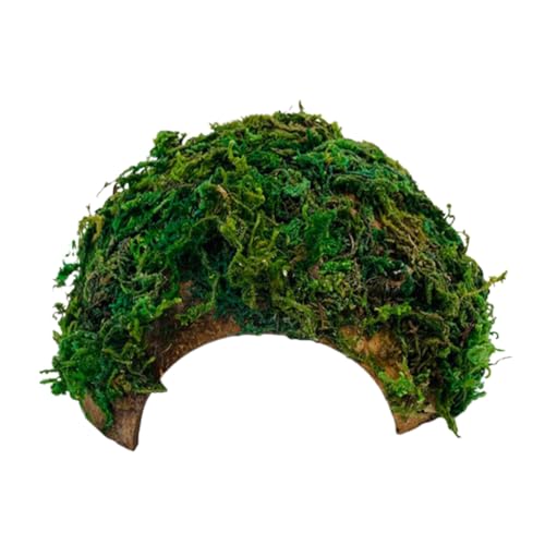 VERDANVERSE Reptilienversteck für Hamster und Geckos Dekorativer Unterschlupf aus Natürlichem Material und Platzsparend für Terrarien und Aquarien Dunkle Rückzugsorte von VERDANVERSE