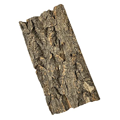 VERDANVERSE Aquarium Hintergrundplatte Natürlichem Dekorative Rückwand Für Reptilien Und Fischbecken Langlebig Und Maße Für Terrarien Und Aquarien VERDANVERSE Aquarium Hintergrundplatte Natürlichem Dekorative Rückwand Für Reptilien Und Fischbecken Langlebig Und Maße Für Terrarien Und Aquarien von VERDANVERSE