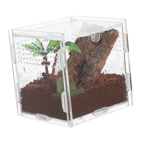 VERDANVERSE Spinnenbox Für Haustiere Kleines Reptilienbecken Vogelspinne Zubehör Reptilienterrarium Springspinne-gehege-Set Tarantula -gehäuse Mikrolebensraum Vogelspinnengehege Zubehör Acryl von VERDANVERSE