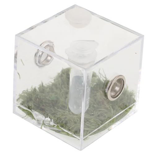 VERDANVERSE Spinnenzuchtbox Transparent Insektenfütterungsbox für Sprünge und Habitat für Reptilien und Kleine Insekten Temperaturaufkleber für Optimale Haltung VERDANVERSE Spinnenzuchtbox Transparent Insektenfütterungsbox für Sprünge und Habitat für Reptilien und Kleine Insekten Temperaturaufkleber für Optimale Haltung von VERDANVERSE