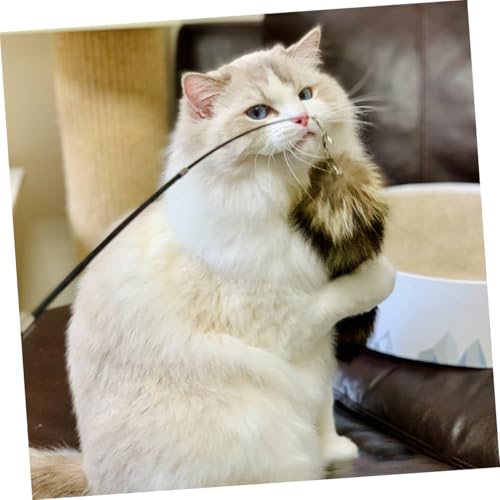 VERDANVERSE Teleskopische Katzenangel Ultra Langer Katzenstab Interaktives Katzenspielzeug für Kätzchen Indoor Katzenunterhaltung Robust Langlebig von VERDANVERSE